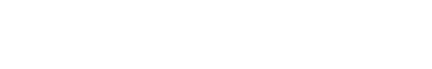 Servinform